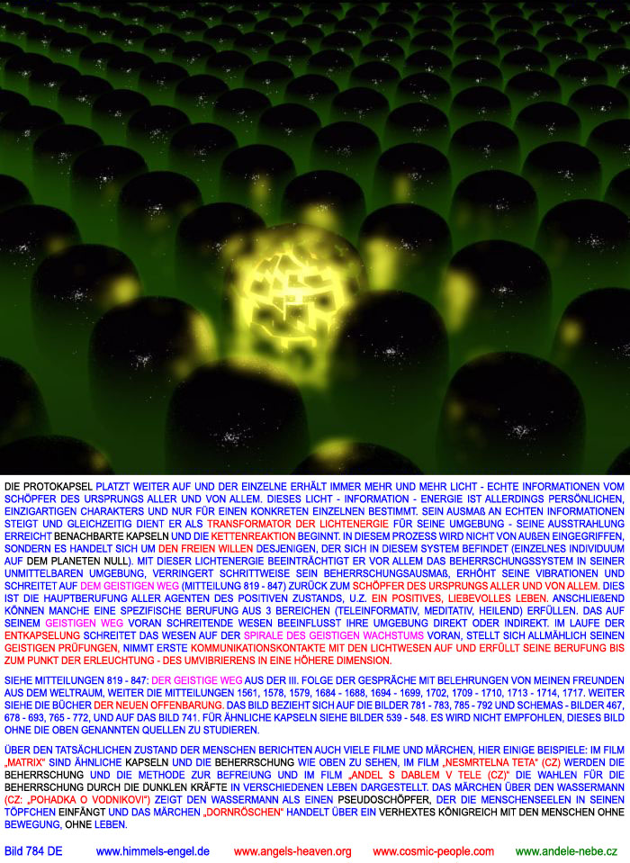 obr784.jpg